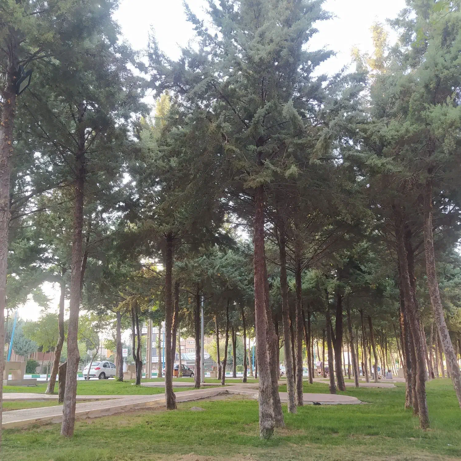 آپارتمان تختی بهترین نقطه شهر زیر چغا با ۴۵۰وام|فروش آپارتمان|بروجرد, |دیوار