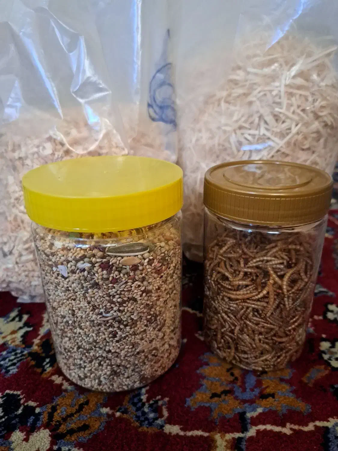 خوراک و پوشال پرنده|لوازم جانبی حیوانات|قم, زنبیل آباد|دیوار