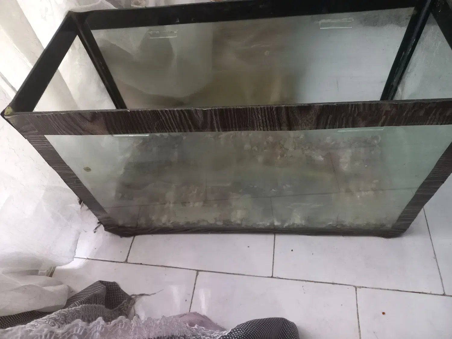 آکواریوم|ماهی|مشهد, مقدم|دیوار