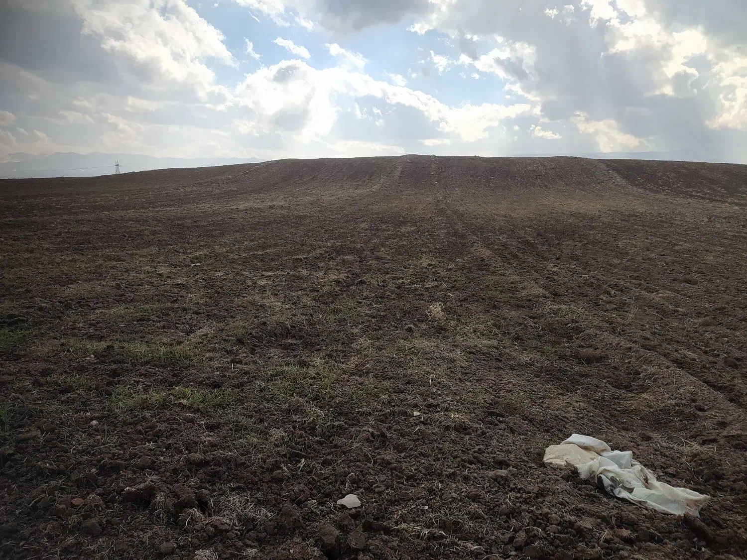 زمین فروشی ماهیدشت جامه شوران|فروش زمین و ملک کلنگی|ماهیدشت, |دیوار