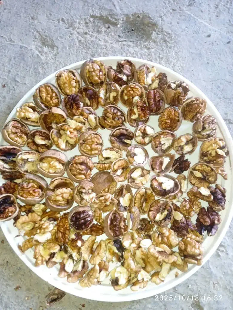 گردو کردستان|خوردنی و آشامیدنی|قدس, شهر‌قدس|دیوار