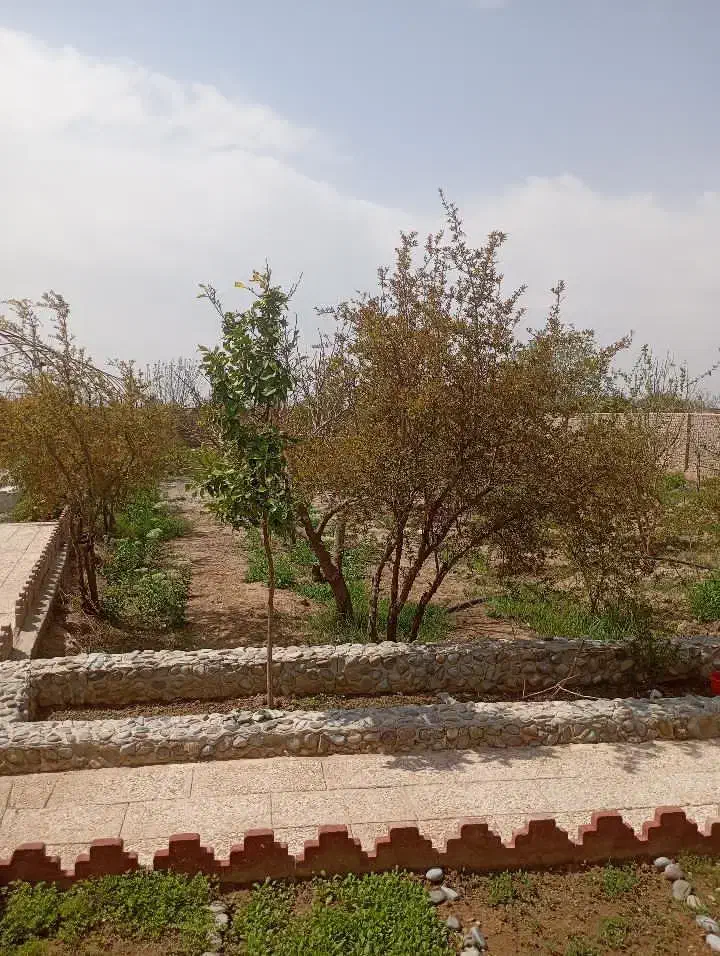 فروش فوری باغ|فروش خانه و ویلا|جوادآباد, |دیوار