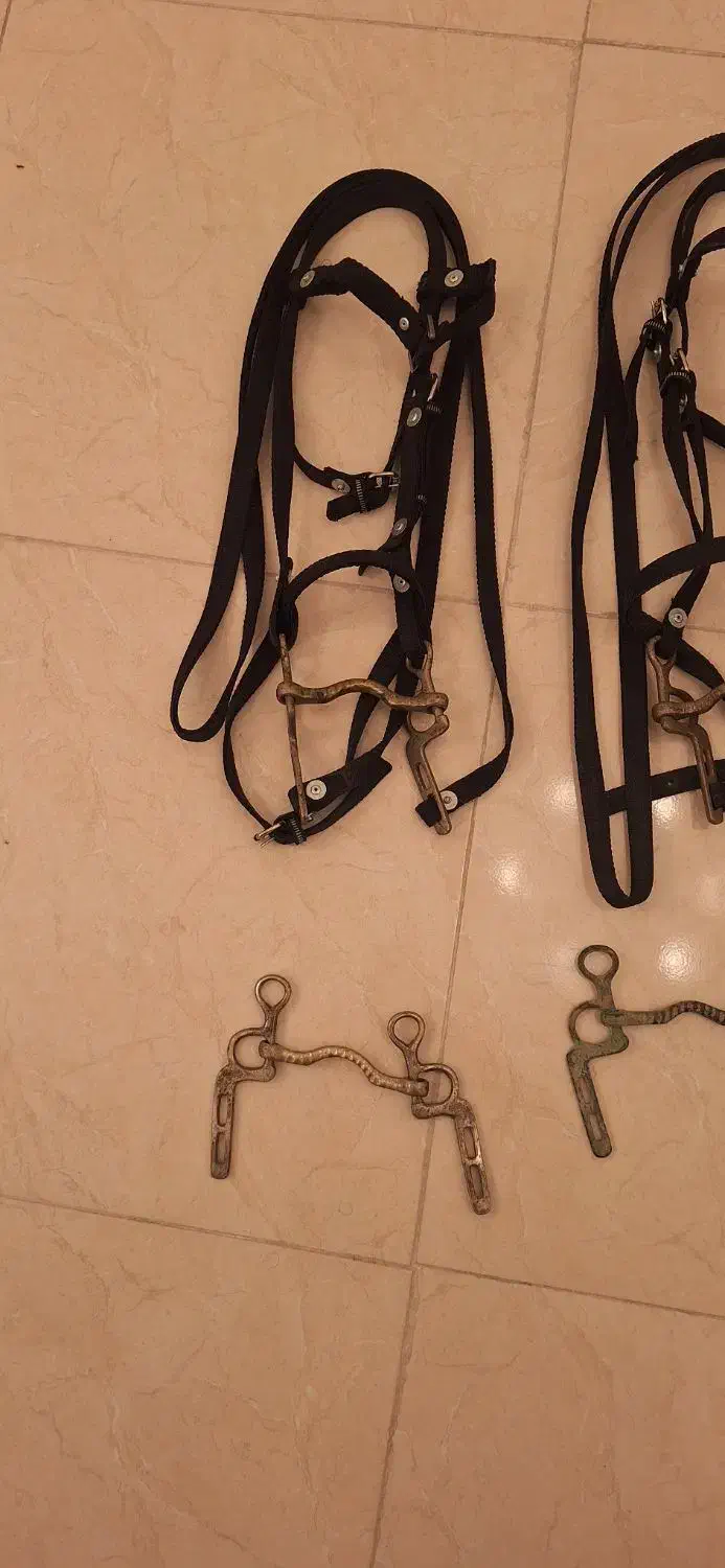 دهنه اسب قدیمی|اسب و تجهیزات اسب‌سواری|اردبیل, |دیوار