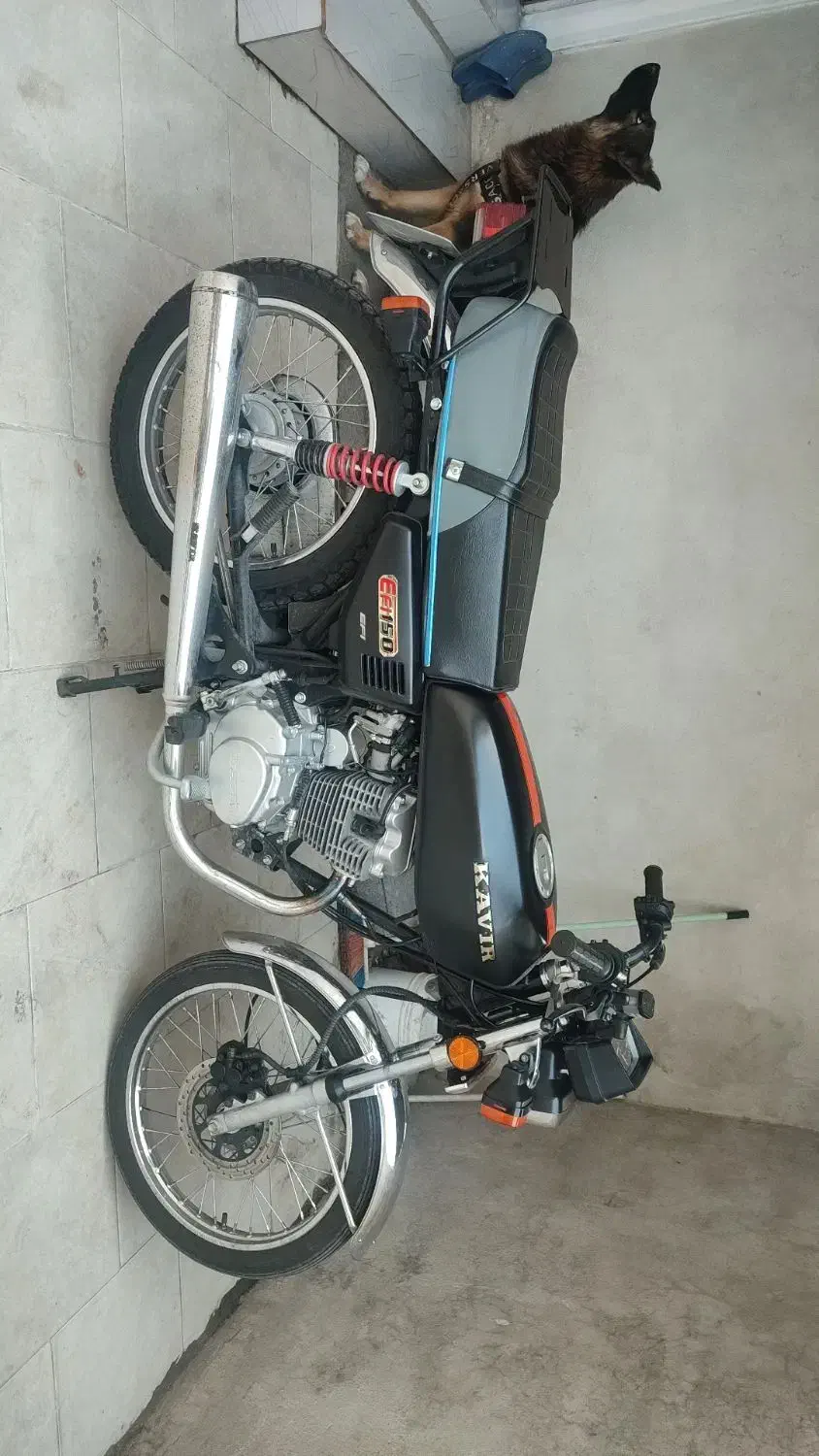 موتور سیکلت کویر 150|موتورسیکلت|بندر انزلی, جهانگانی|دیوار