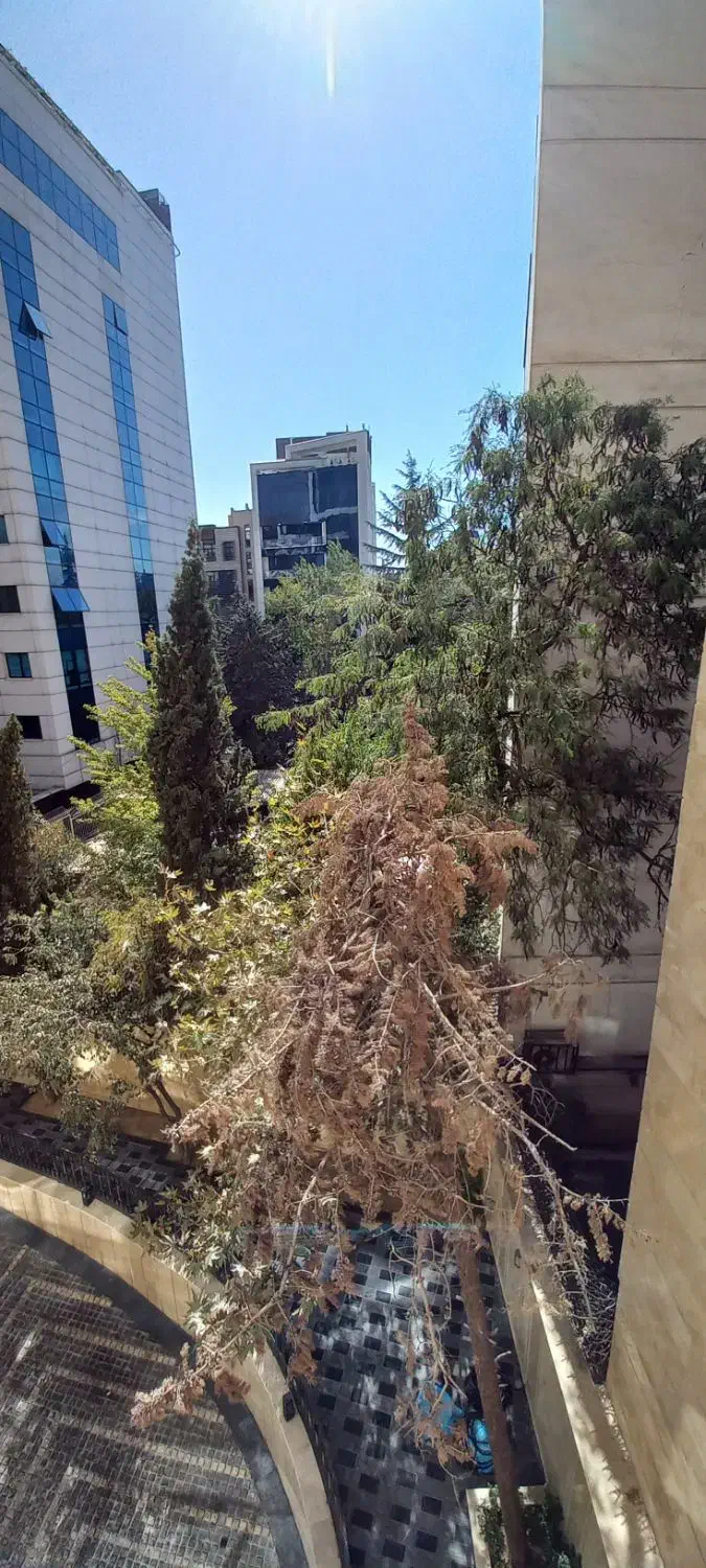 230متر نوسازفرمانیه ،برج بااصالت بسیار خفن|اجارهٔ آپارتمان|تهران, کامرانیه|دیوار