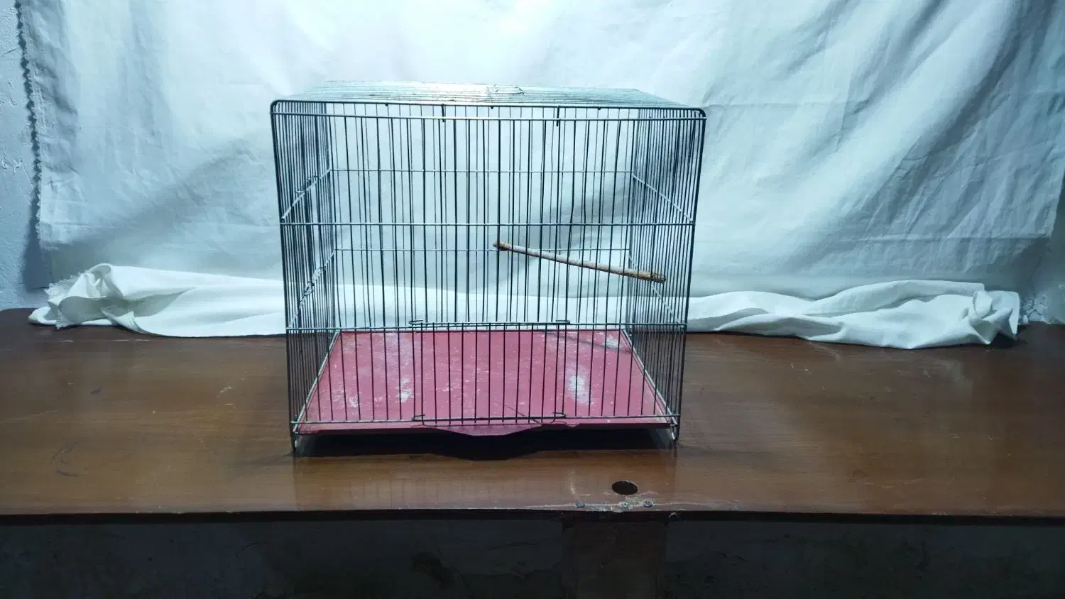 قفس عروس هلندی و مرغ عشق|لوازم جانبی حیوانات|لالجین, |دیوار