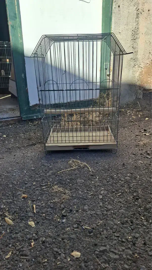 قفس و لونه دسته دوم|لوازم جانبی حیوانات|بیرجند, |دیوار