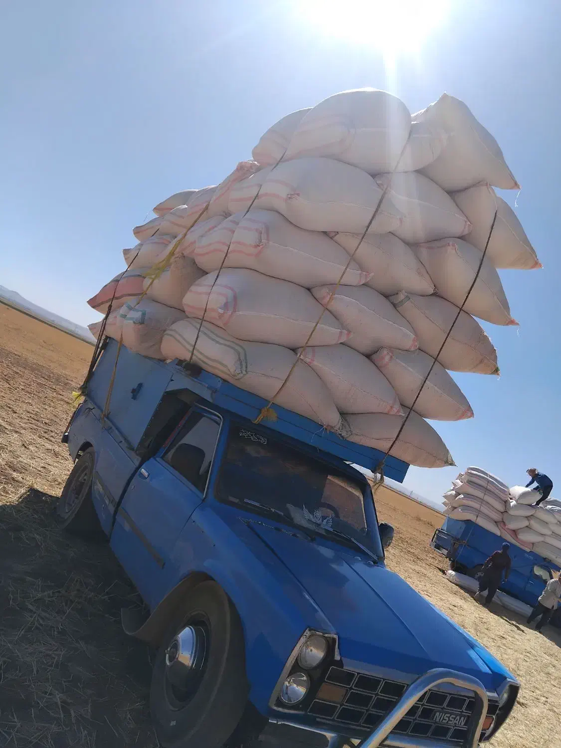 خرید فروش کاه|عمدهفروشی|قیدار, |دیوار