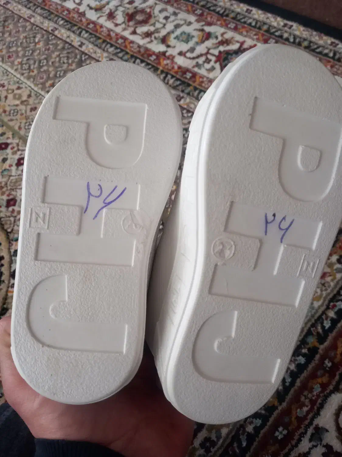 کفش دخترانه|کیف، کفش، کمربند|سلماس, |دیوار