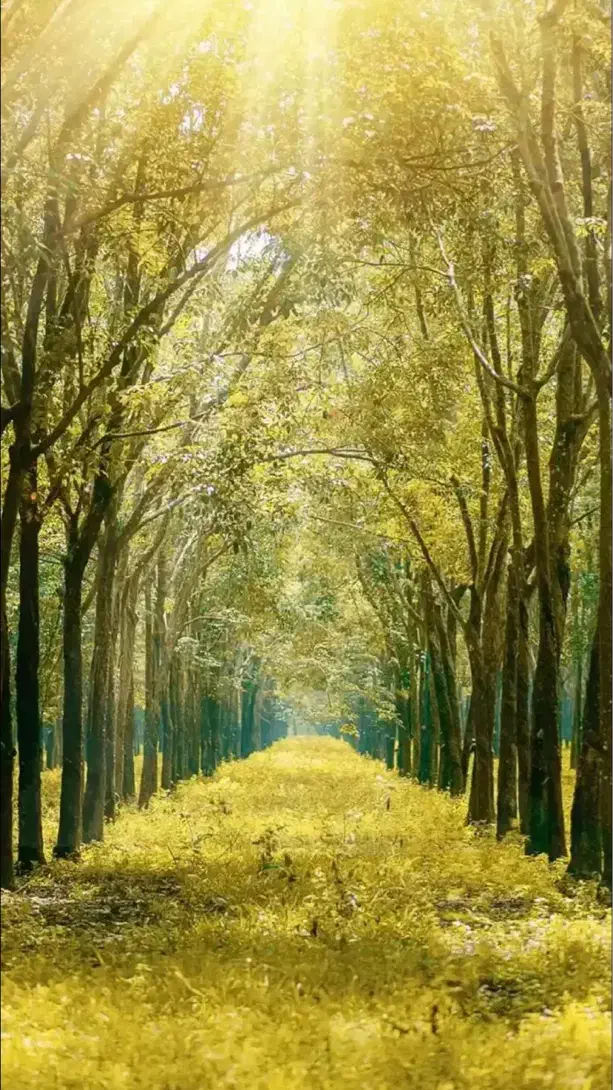 ورزش و طبیعت گردی|فعالیت داوطلبانه|گلبهار, شهر جدید گلبهار|دیوار