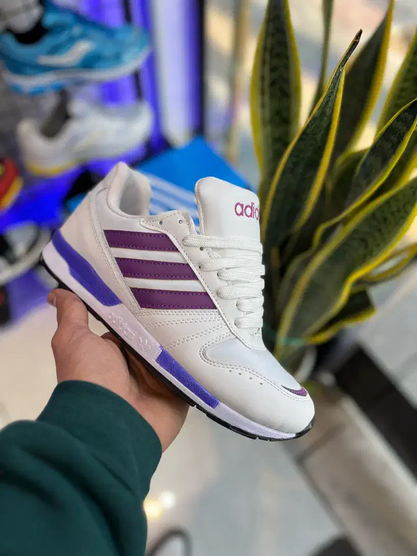 کتونی zx8000 ست رنگ های خاص|کیف، کفش، کمربند|قم, شاه ابراهیم|دیوار