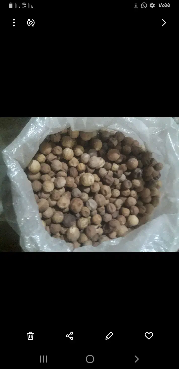 لیموخشک ارگانیک|خوردنی و آشامیدنی|گراش, |دیوار