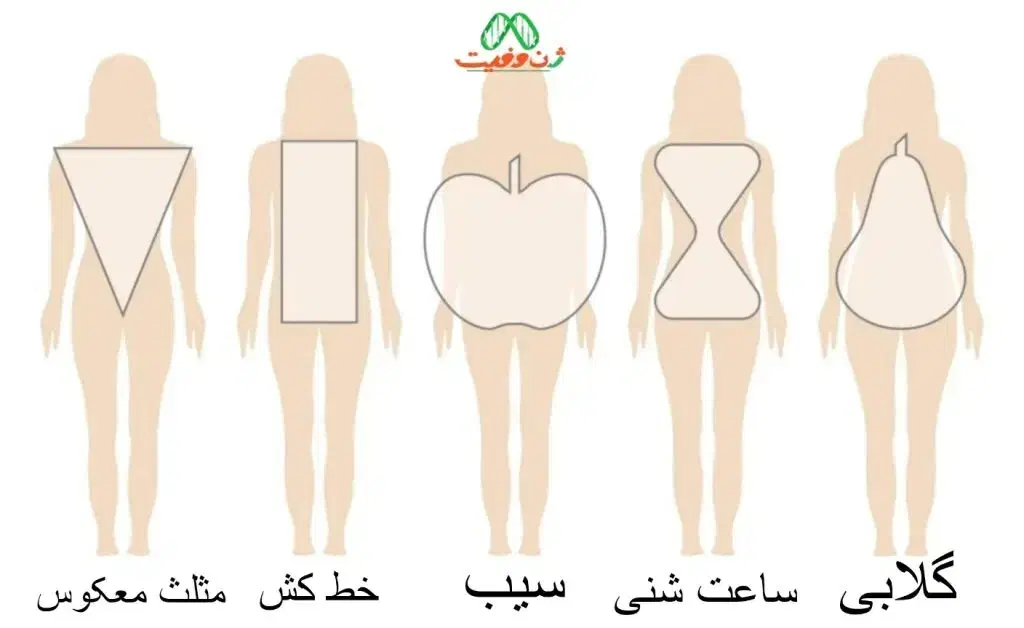 مشاوره چاقی لاغری تناسب زیبایی اندام|خدمات آرایشگری و زیبایی|قم, سالاریه|دیوار