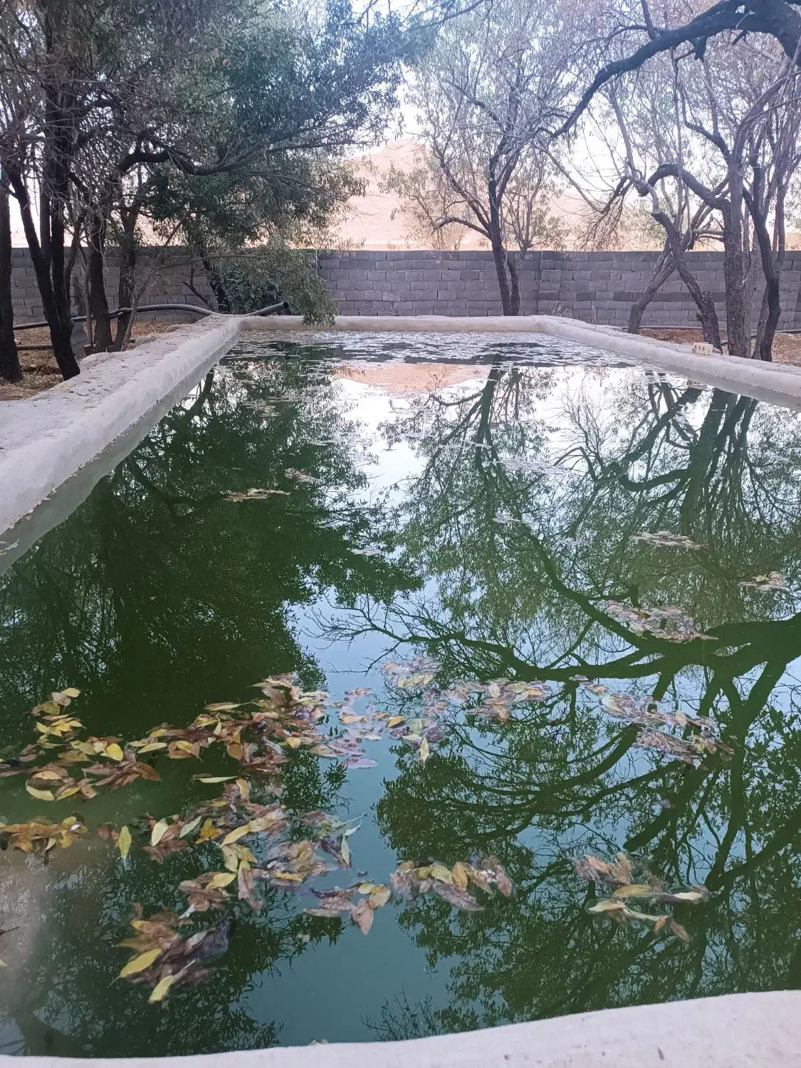 باغ بهمن|فروش زمین و ملک کلنگی|بهمن صغاد, |دیوار