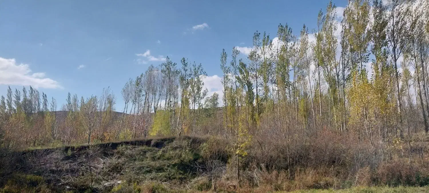 فروش باغ گیلاس در روستای حور|فروش زمین و ملک کلنگی|ویلکیج, |دیوار