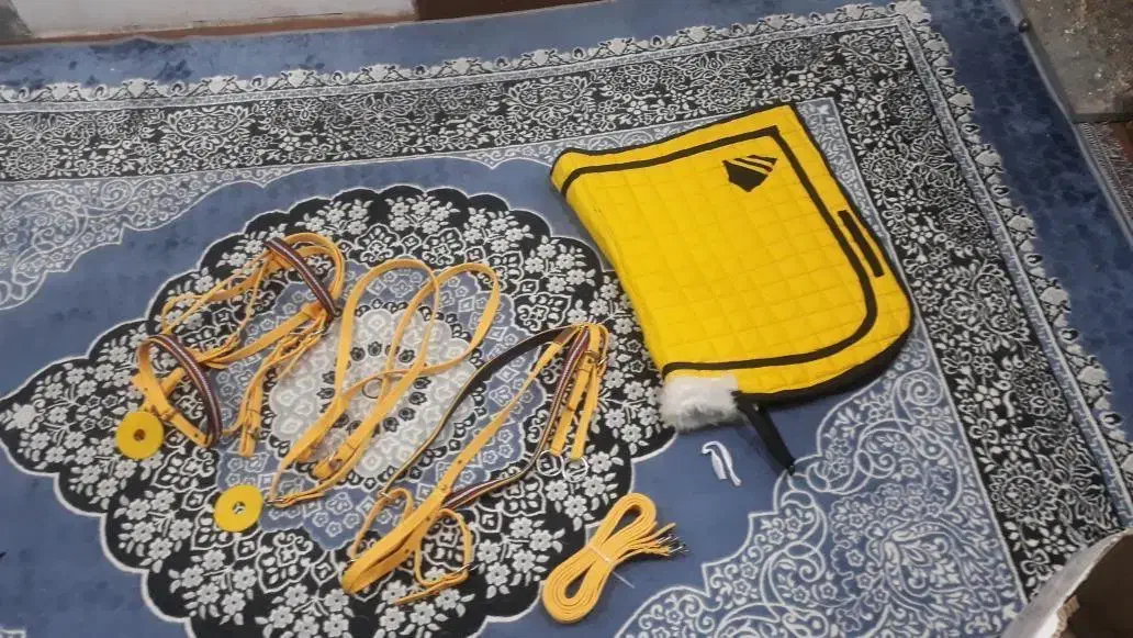 ست کامل زیبا برای خوش صلیقه ها|اسب و تجهیزات اسب‌سواری|مسجد سلیمان, |دیوار