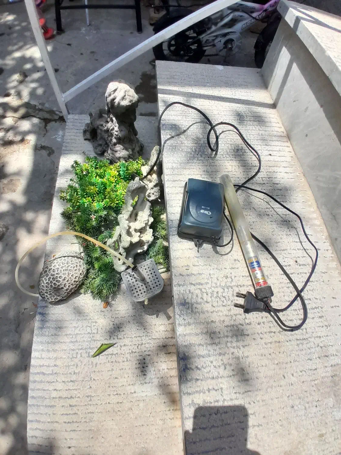 اکواریوم. شازند|ماهی|اراک, |دیوار