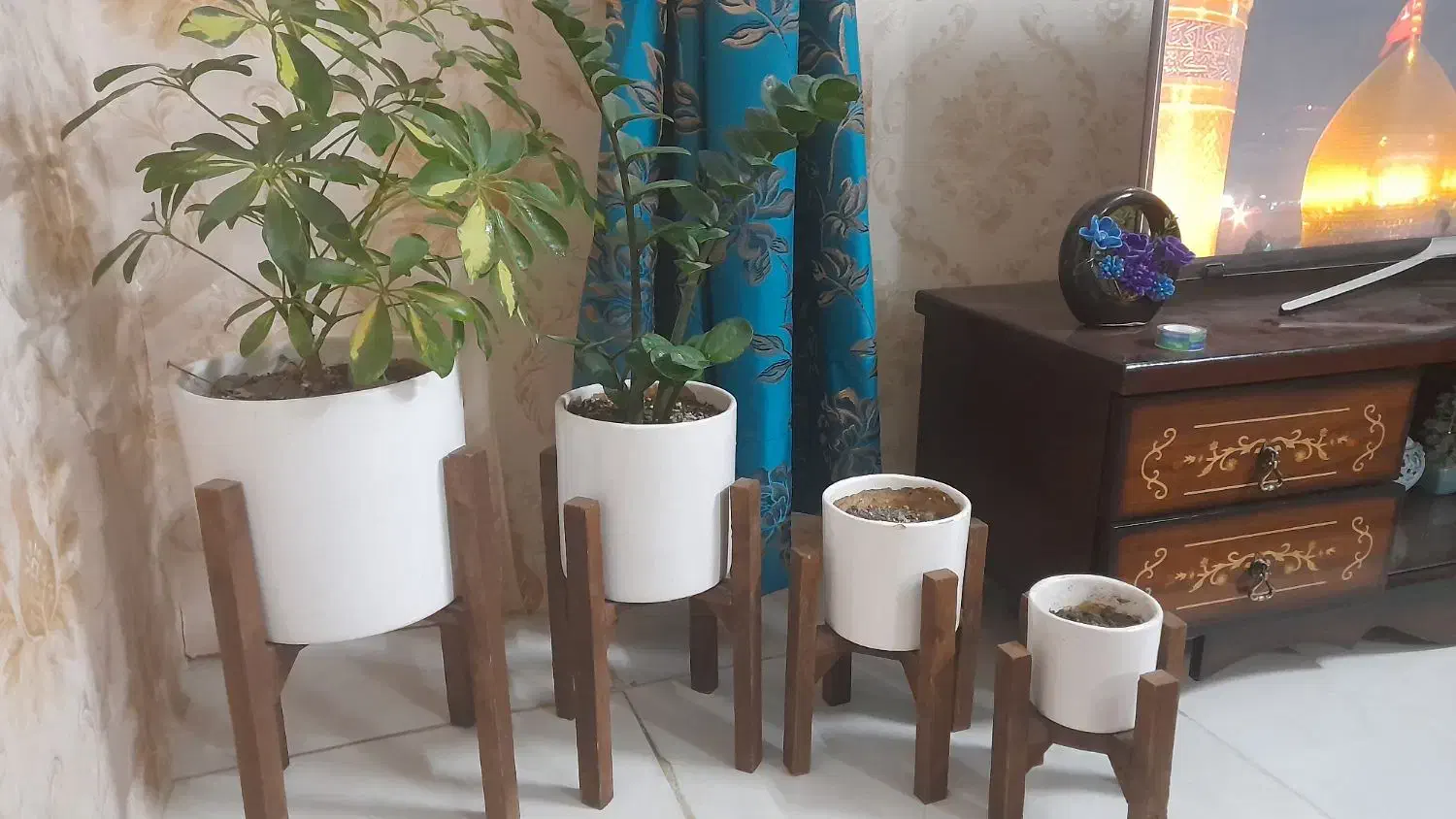 ۱،۰۰۰،۰۰۰|گل و گیاه طبیعی|مشهد, بهمن|دیوار