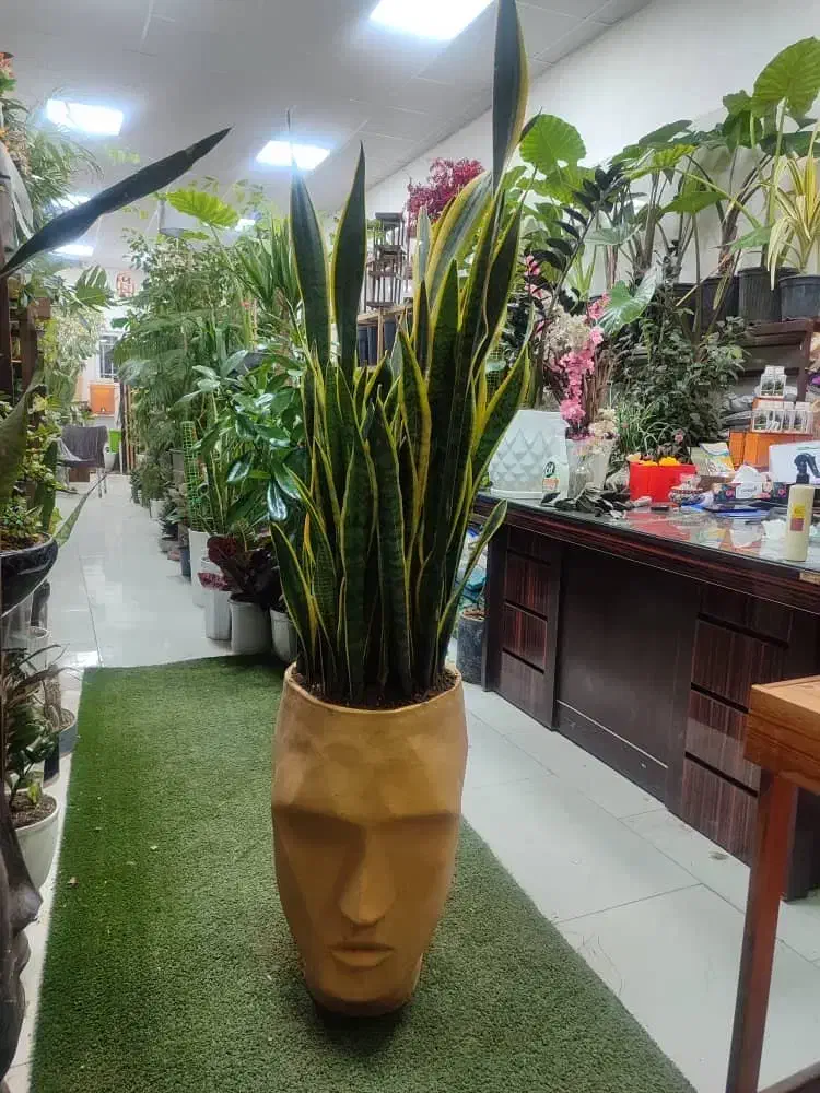 فروشنده گل فروشی|استخدام خدمات فروشگاه و رستوران|بومهن, |دیوار