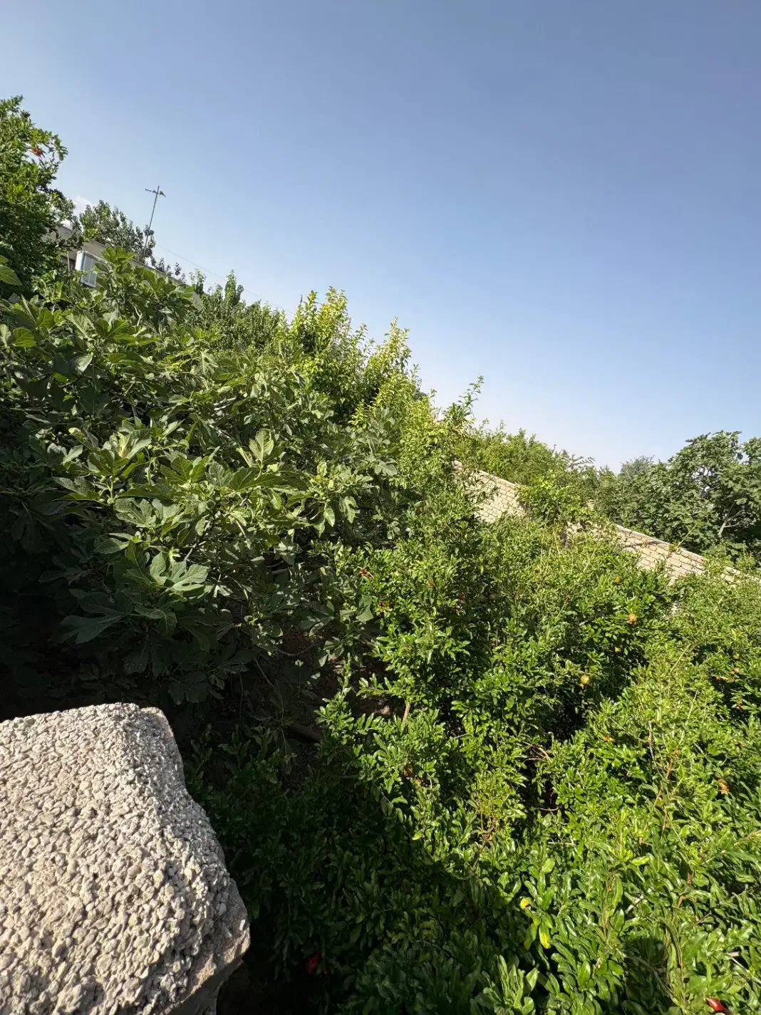 خانه باغ۳۷۰ متری با سند مسکونی تک برگ|فروش زمین و ملک کلنگی|کهن آباد, |دیوار