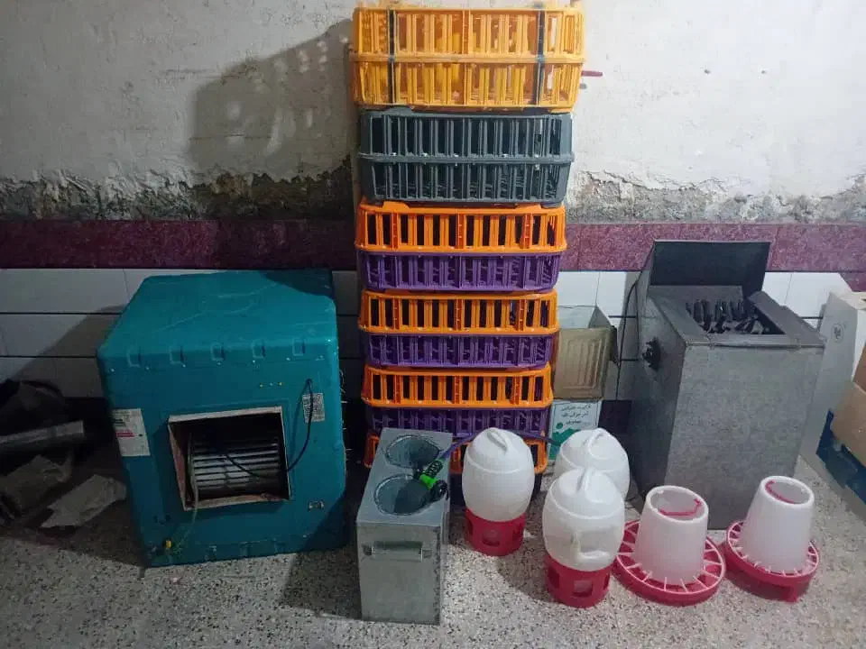 لوازم مرغ فروشی|عمده‌فروشی|بهبهان, |دیوار