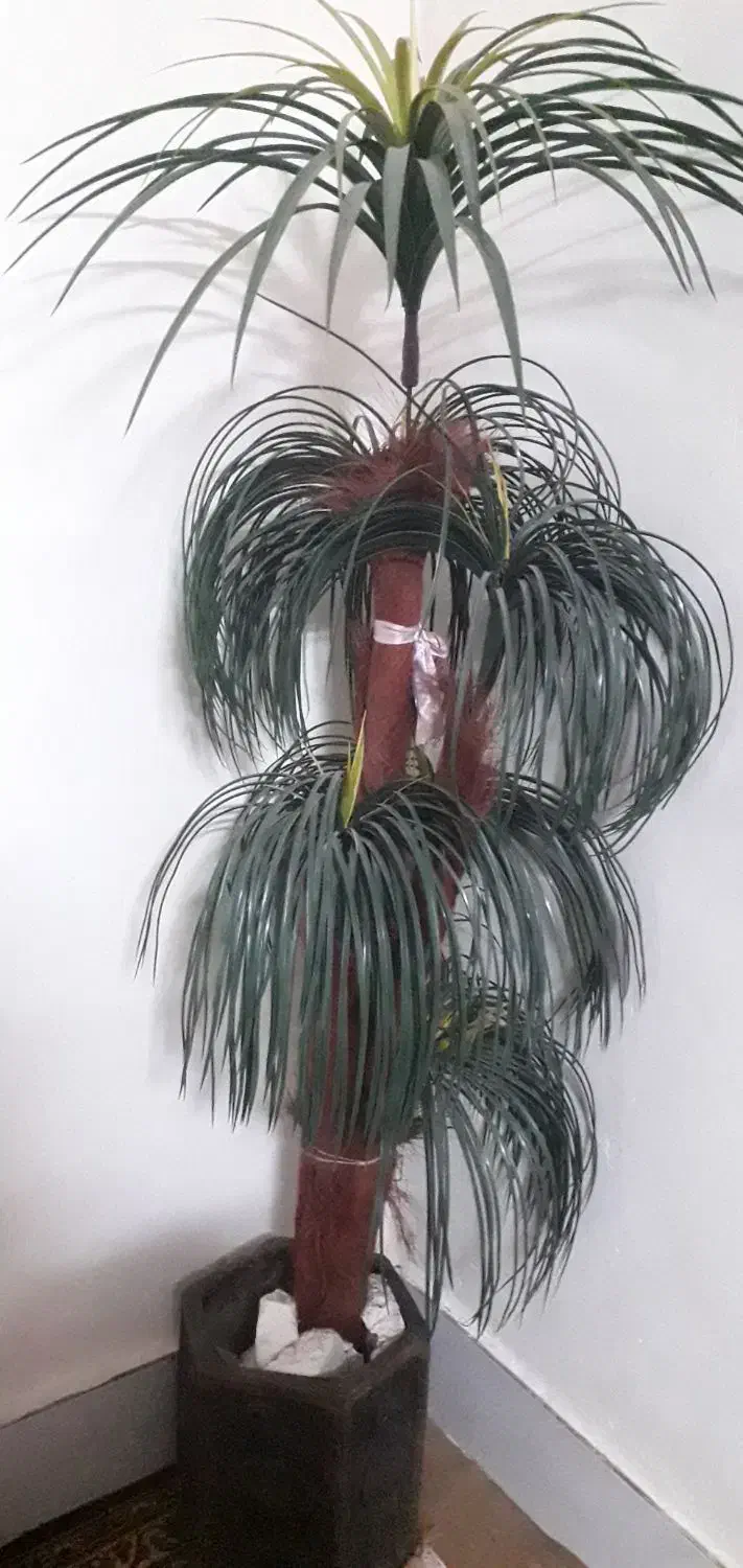 درختچه|گل مصنوعی|گرگان, |دیوار