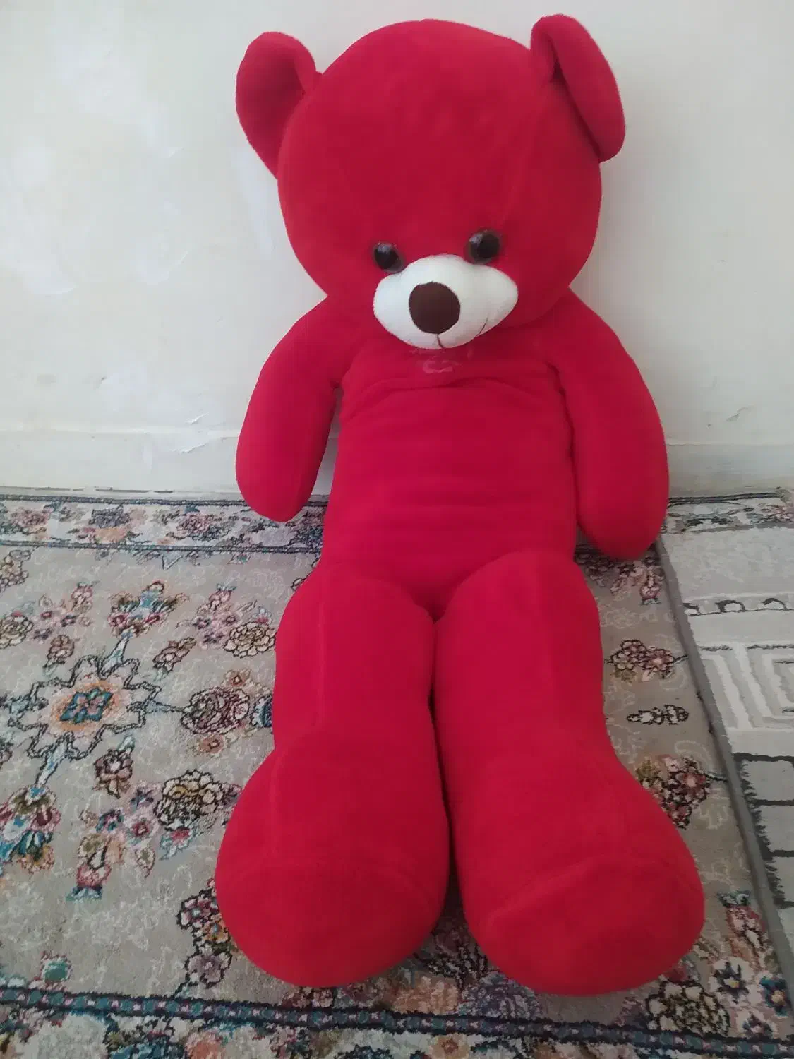 خرس شاسخین|اسباب‌بازی بچه|شیروان (خراسان), |دیوار