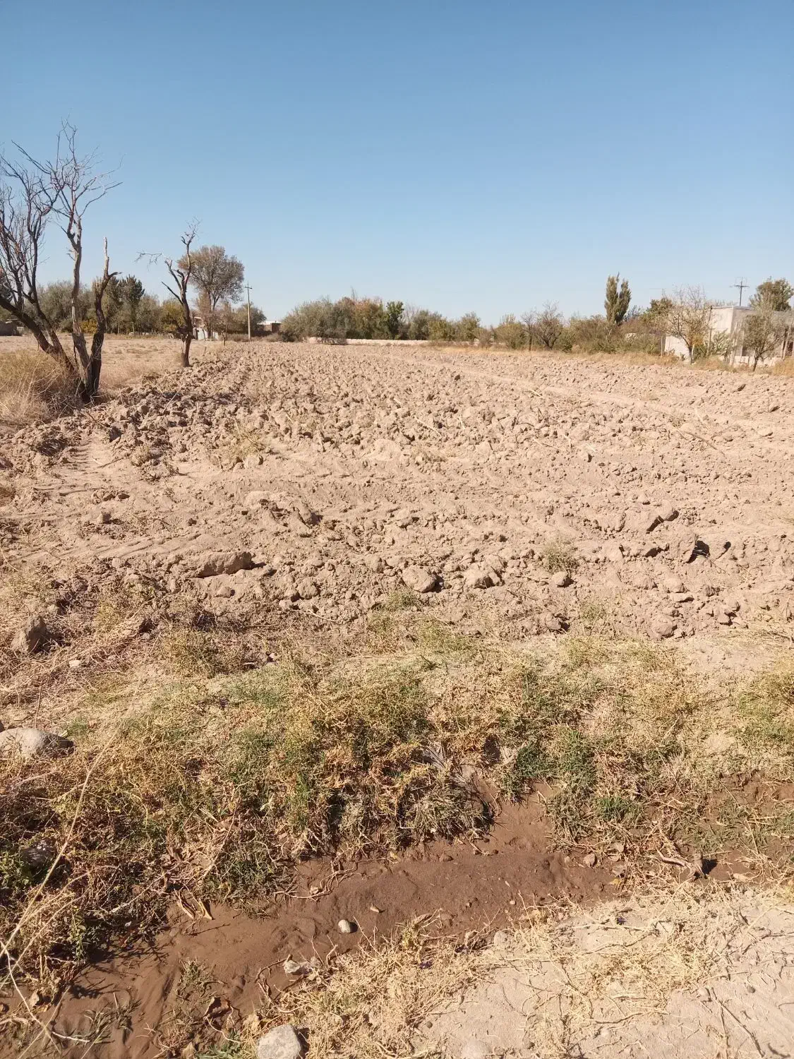 زمین|فروش زمین و ملک کلنگی|گوگان, |دیوار