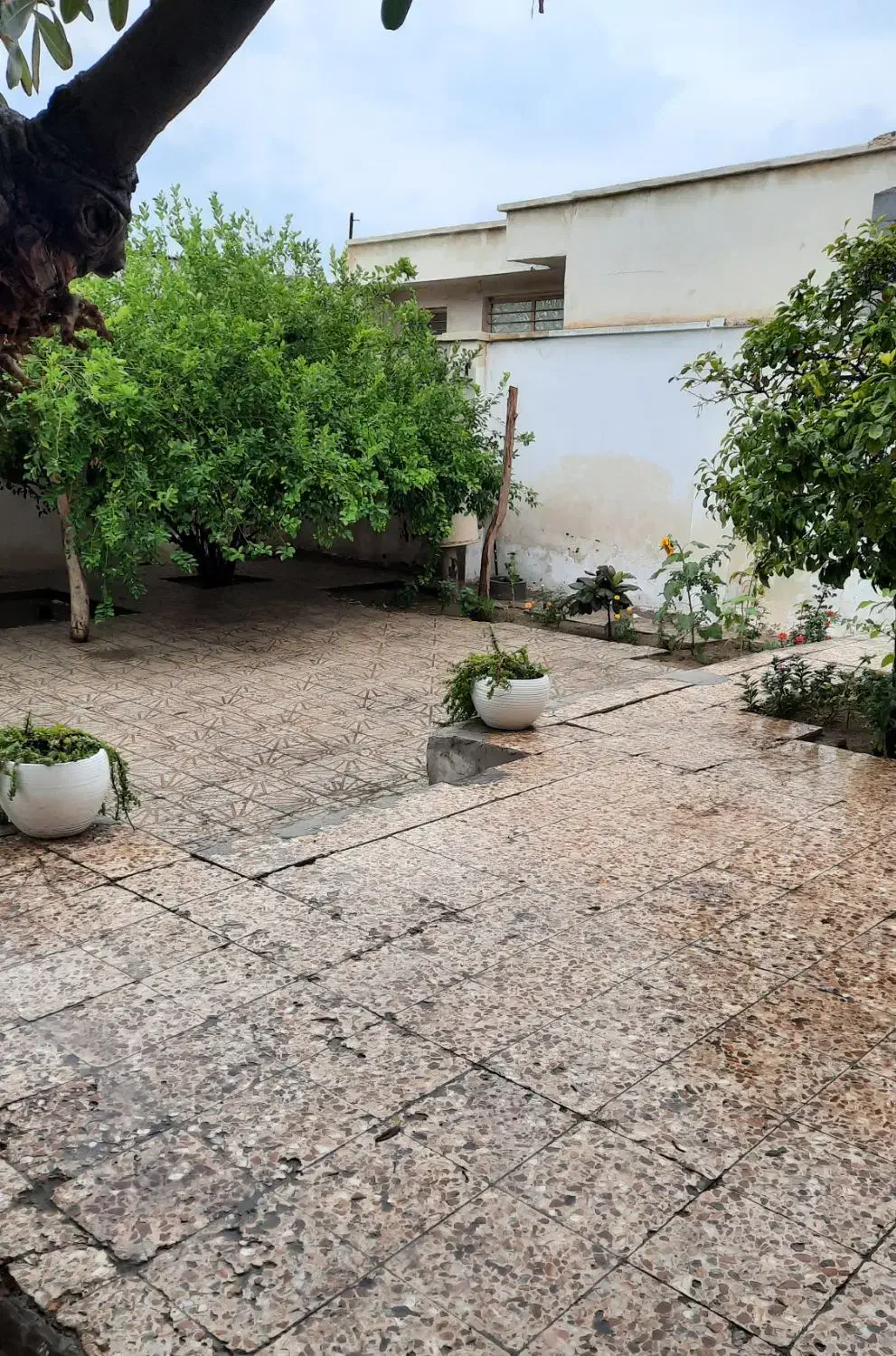 خونه ویلایی|اجارهٔ کوتاه‌مدت آپارتمان و سوئیت|بندرعباس, |دیوار