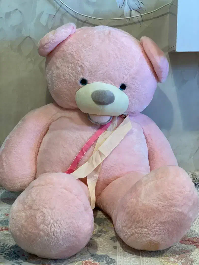 خرس ولنتاین|اسباب‌‌بازی|جوانرود, |دیوار