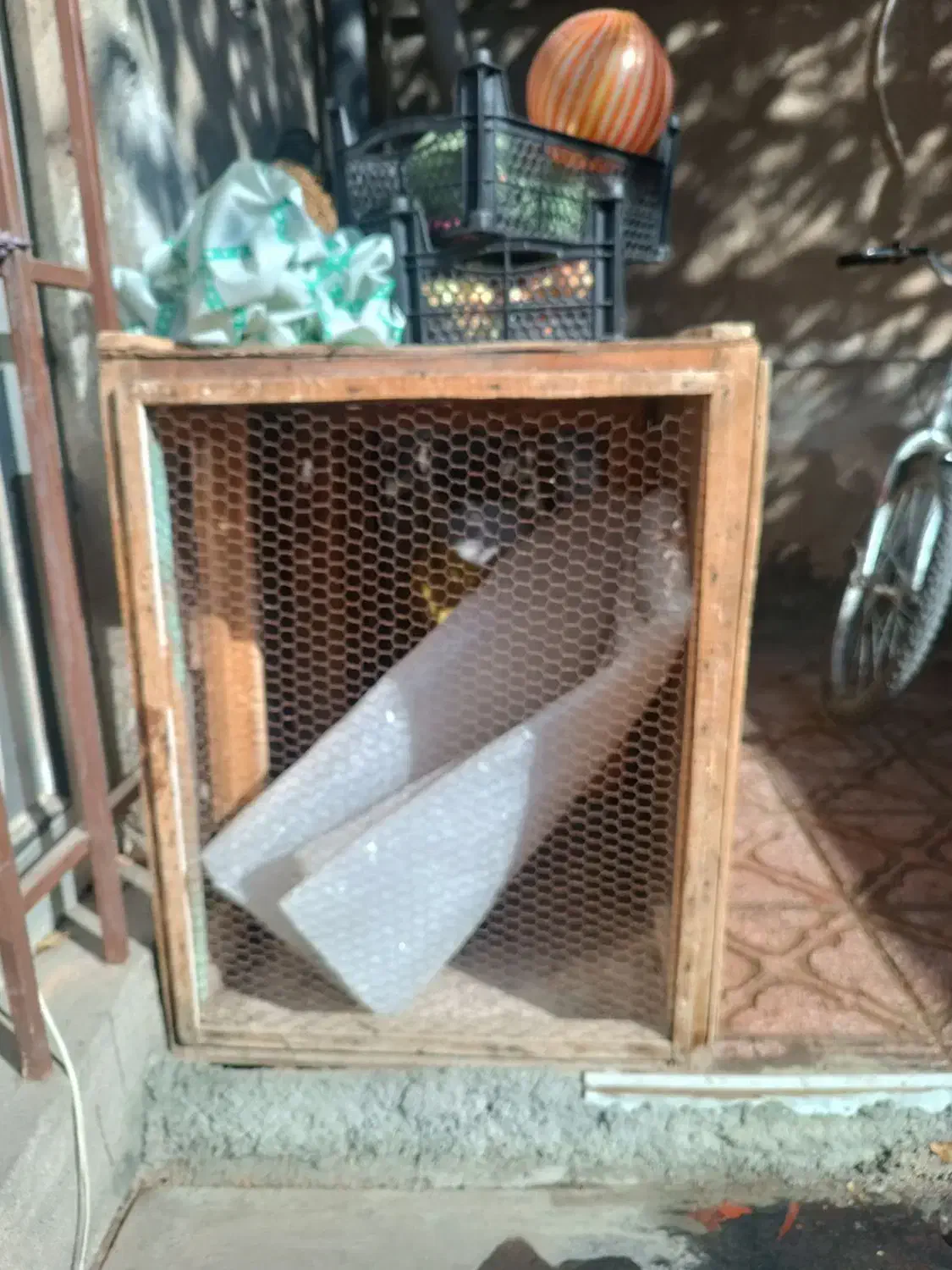 لوازم موتور و قفسه مرغ|قطعات یدکی و لوازم جانبی|همدان, |دیوار