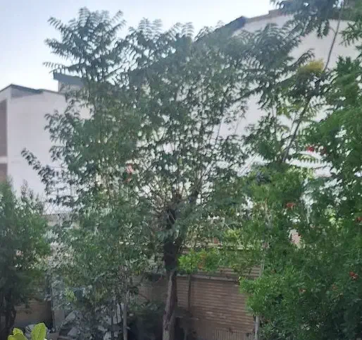 خانه ویلائی۵۰۰متری۲طبقه تکواحدی شهرک راه آهن|فروش خانه و ویلا|تهران, گلستان (شهرک راه آهن)|دیوار