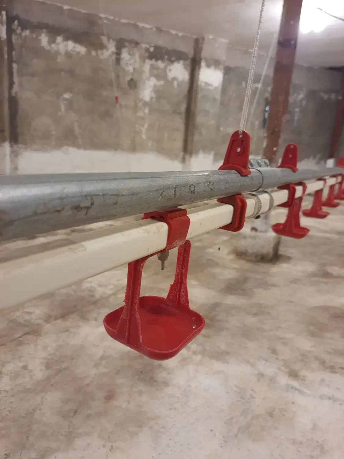 آب خوری مرغ سطلی اتوماتیک بزرگ|لوازم جانبی حیوانات|رشت, گلسار|دیوار