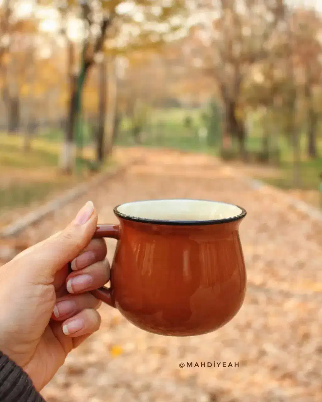 پارک ملت / دریاچه /قدم زدن / پاییز|تور و چارتر|تهران, سهروردی|دیوار