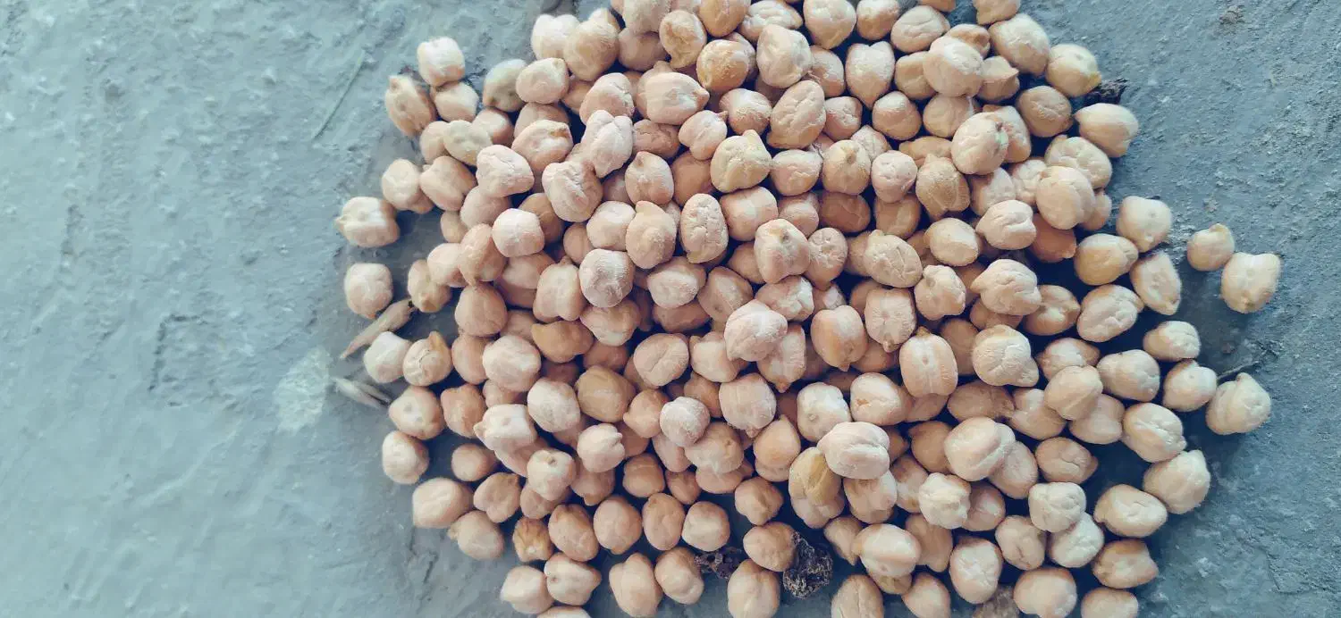 فروش نخود درجه یک|خوردنی و آشامیدنی|صحنه, |دیوار