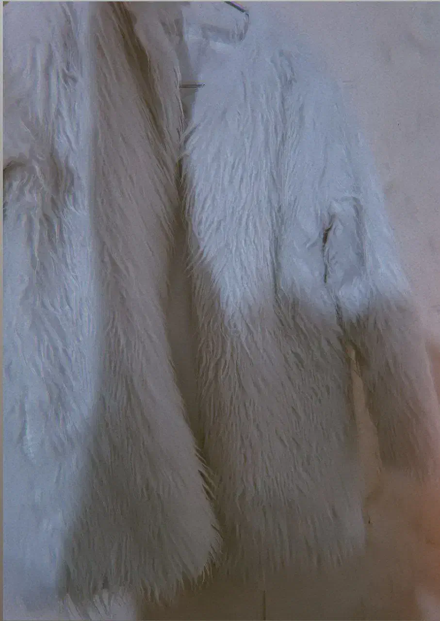 پالتوی خز و هودی|لباس|سلماس, |دیوار