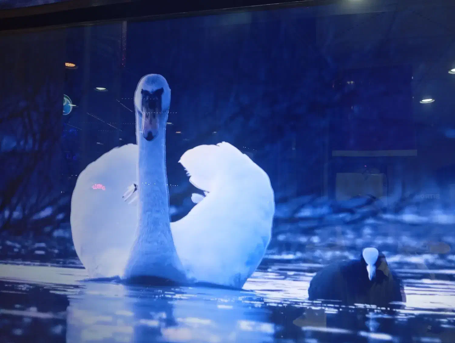 فروش انواع تلویزیونهای هوشمند و ساده|تلویزیون و پروژکتور|قم, حاج خلیل|دیوار