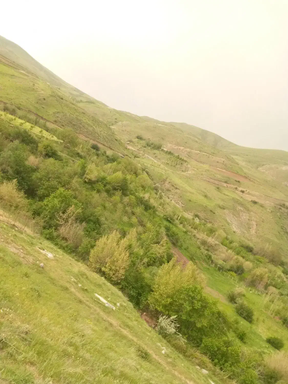 فروش باغ زیبا در روستای ساربانک قزوین|فروش زمین و ملک کلنگی|کوهین, |دیوار