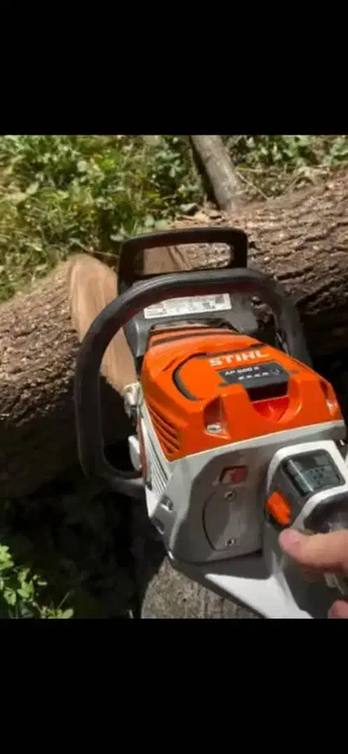 قطع و هرس درختان باغی|خدمات باغبانی و درختکاری|گنبد کاووس, |دیوار