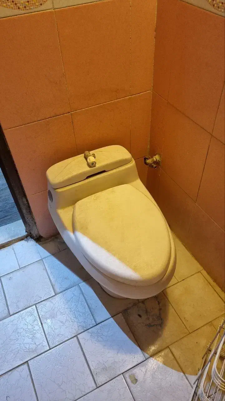 توالت فرنگی|لوازم سرویس بهداشتی|مشهد, تربیت (صدف)|دیوار