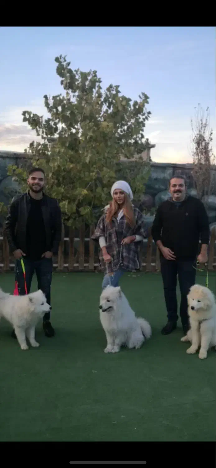 کارگر مجموعه پانسیون تربیت سگ|استخدام سرایداری و نظافت|هشتگرد, قاسم آباد بزرگ|دیوار