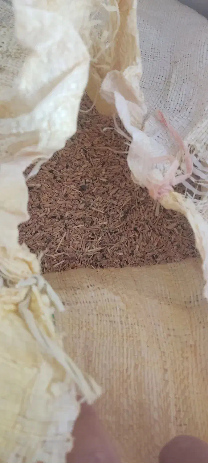 گندم برای حیوون وپرنده|لوازم جانبی حیوانات|داران, |دیوار