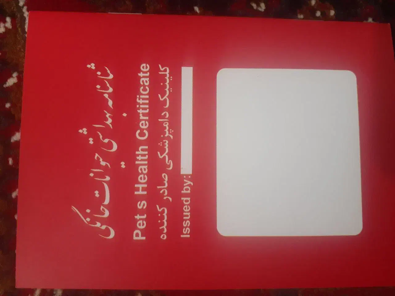 سگ خانگی|سگ|اسلام‌‌آباد غرب, |دیوار