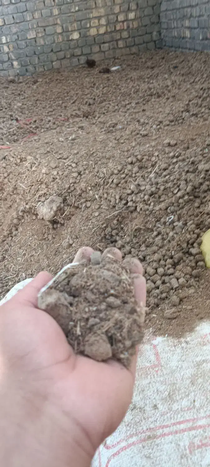 باگاس|خوردنی و آشامیدنی|قم, قلعه کامکار|دیوار