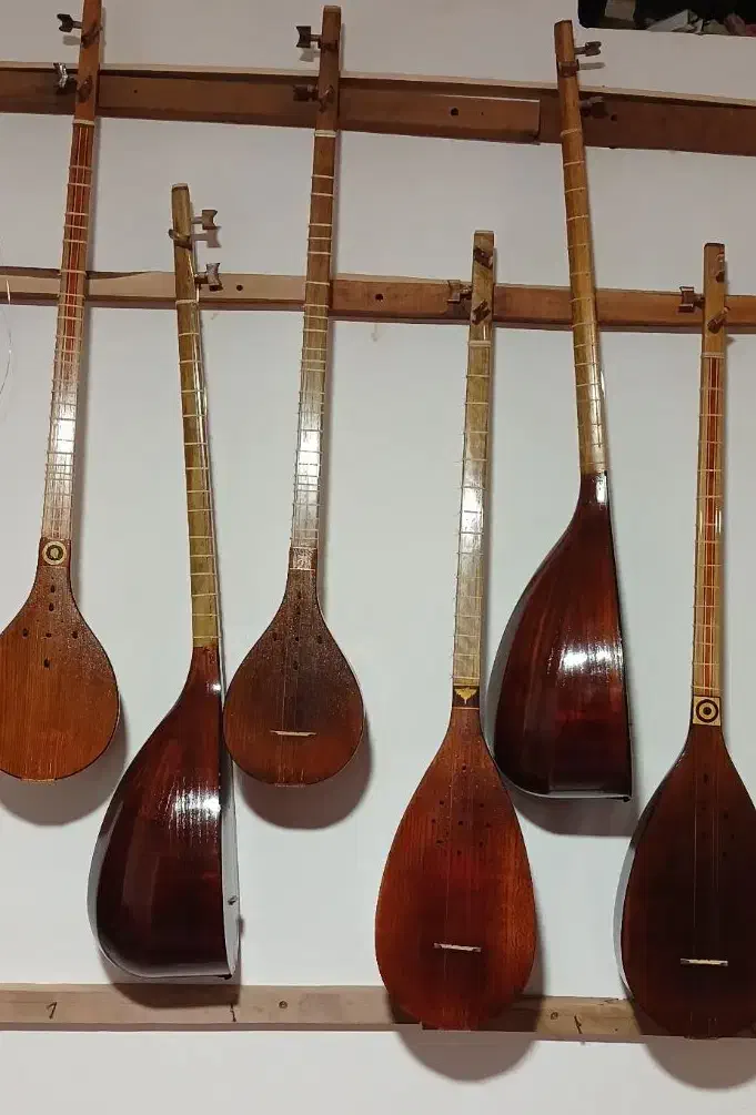 سه تار و تنبور ماهان|سازهای سنتی|هشتگرد, اردهه|دیوار