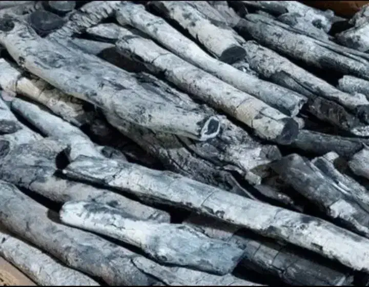 زغال قلم سفید پسته|عمدهفروشی|شیراز, وصال|دیوار