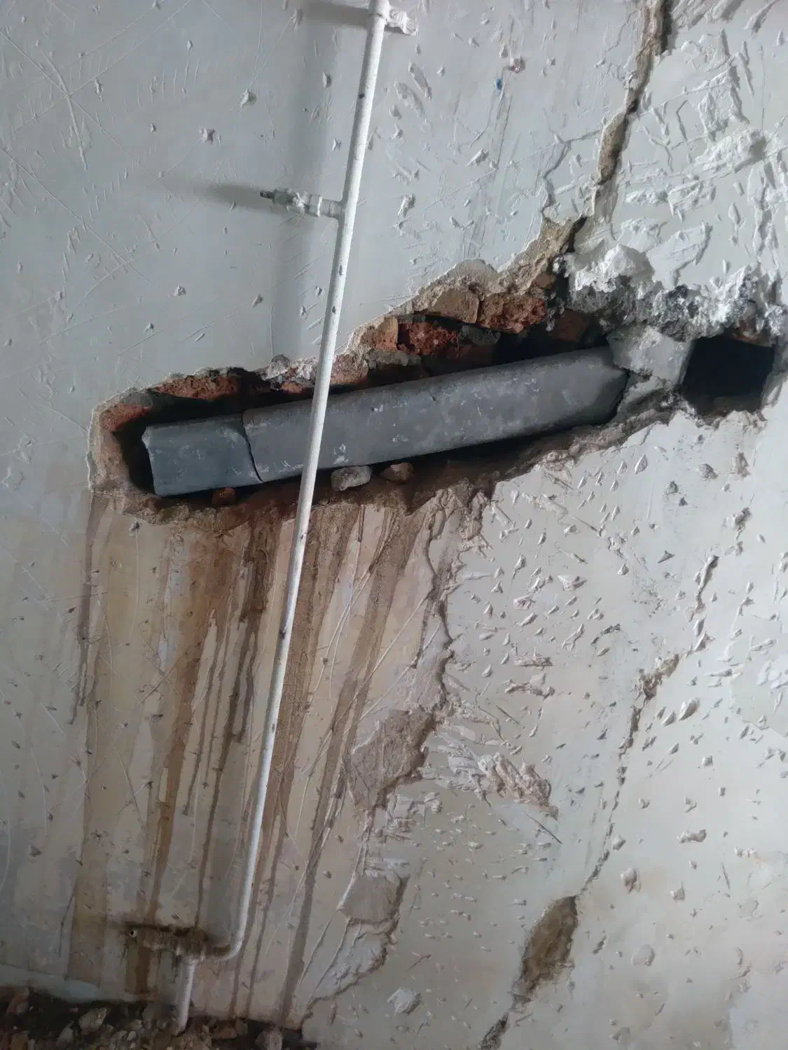 گچکاری ساختمان پذیرفته میشود فقط گچ سفید میزنم|خدمات پیشه و مهارت|پارسآباد, |دیوار