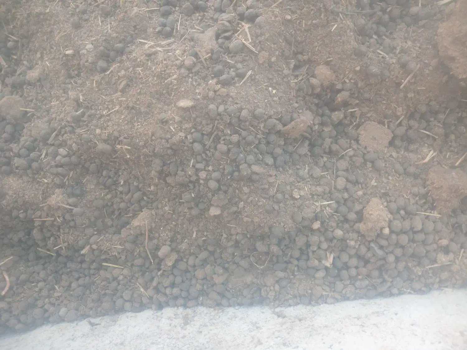 کودحیوانی خاک رس باغچه|گل و گیاه طبیعی|پاکدشت, پاکدشت (مامازند)|دیوار