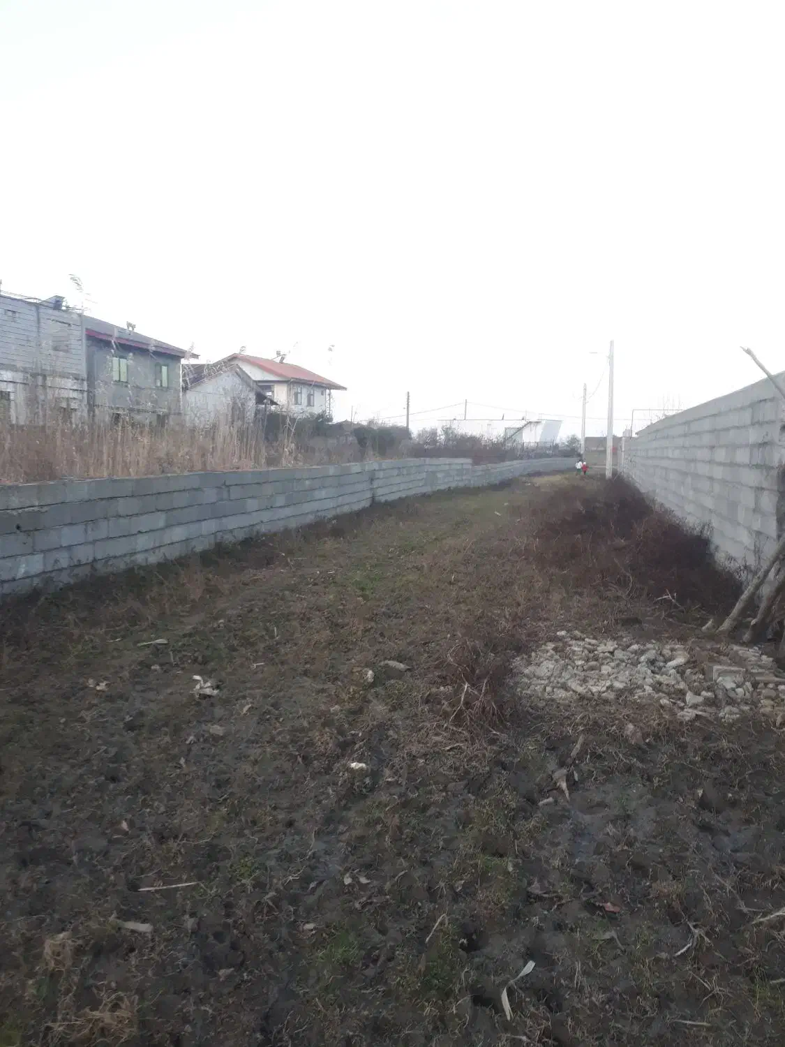 زمین با قطعات تفکیکی جنب سواحل زیبای گیسوم|فروش زمین و ملک کلنگی|پره‌سر, |دیوار