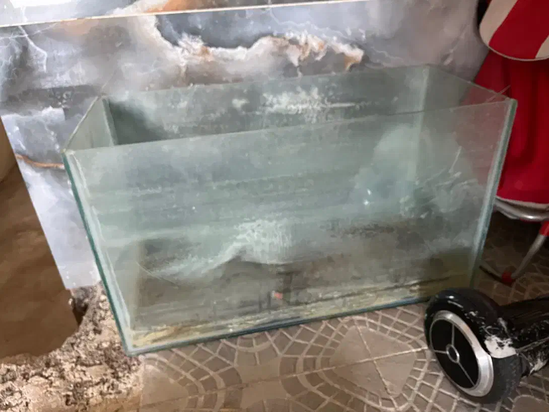 آکواریوم و جوجه مرغ|حیوانات مزرعه|یزد, |دیوار